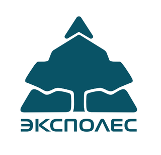 логотип организации