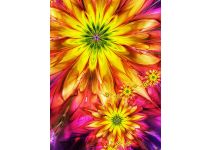 C1-181 буйство красок