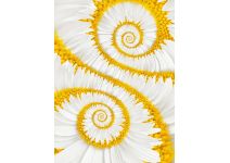 C1-189 ромашковое поле