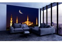 C1-168 Голубая мечеть под луной