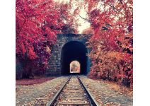 C1-097 Железная дорога