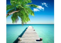 C1-109  Понтон 2