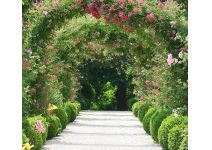 B1-011 цветочная аллея