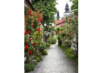 D2-072 Аллея роз