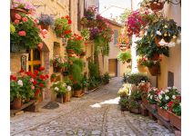 C1-363 Италия в цветах