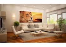 C1-347  Царь зверей