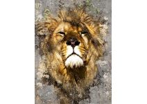 D2-029 Лев