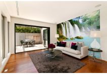 E1-050 гуси у водопада