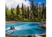 C1-022  Лесное озеро