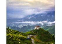 C1-120  Чайные плантации