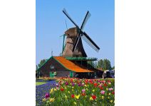 C1-243  Мельница