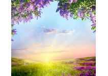 D2-001 закат над полем