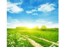 D2-078 Рассвет над полем