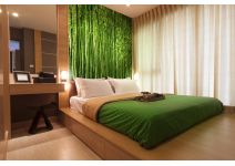 C1-214  Бамбук