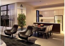 C1-282  Розовый куст