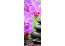 C1-290  Релакс