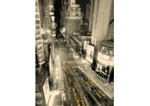 C1-253  Мегаполис