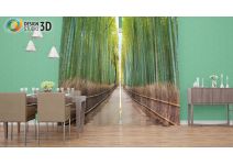 Дорога через бамбук