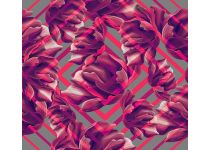 H-084 Тропическая геометрия