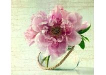 L-066 Пион винтаж