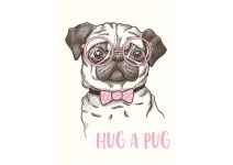 K-064 Мопс постер