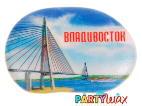 Магнит в форме большой гальки Владивосток