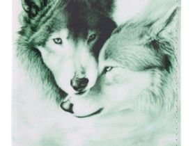 Обложка для паспорта ВДОПК2 DRIVER