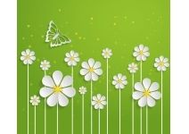 MY-0037 Ромашки