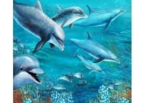 MY-0182 Дельфины рисунок