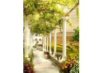 MY-0012 Прогулка под навесом