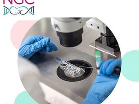 Программы ЭКО с донорскими яйцеклетками