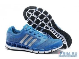 Adidas revolution climacool