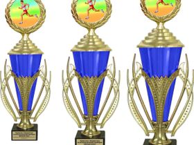 Комплект кубков PN0908-51