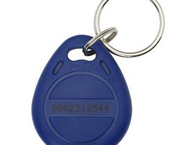 Temic брелок TS