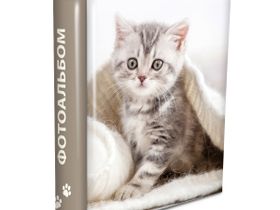 Фотоальбом Pioneer [20*27,5/30листов] магнитный [64476] Puppies and kittens [альбом для фотографий]