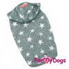 Майка для собак р10, спинка = 24см Звезды серая с капюшоном Formydogs