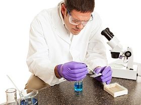  Гормональные исследования 