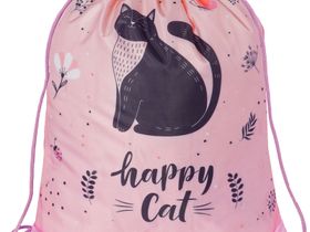 Мешок для обуви 1 отделение ArtSpace "Cat", 340*420мм