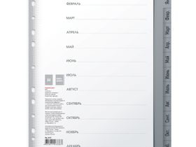 Разделитель листов Berlingo А4, 12 листов, Январь-Декабрь, серый, пластиковый