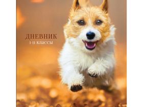 Дневник 1-11 кл. 40л. ArtSpace "Лови момент", ВД-лак