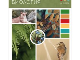 Тетрадь предметная 36л. ArtSpace "Твой коллаж" - Биология, ВД-лак, эконом