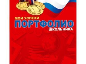 Папка-портфолио 7БЦ А4 БиДжи "Мои успехи", на 4 кнопках, 20 файлов