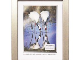 Фоторамка [15*20] пластик [63-275] [рамка для фотографий, картин, сертификатов, рисунков, рукоделия 15х20]