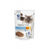 Перфект Фит/Perfect Fit = 75гр пауч для кошек красивая шерсть индейка соус