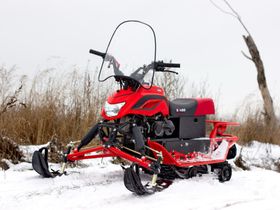 Снегоход IRBIS Dingo T150