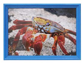 Фоторамка Светосила [21*30] дерево [c.20] голубой, с ножкой [рамка для фотографий, грамот, дипломов, сертификатов, рисунков, рукоделия 21х29,7/21х30/А4]