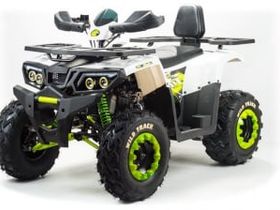 Квадроцикл MOTOLAND ATV 200 Wild Track