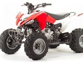 Квадроцикл MOTOLAND 125S (2020 Г.)