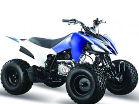 Квадроцикл МОТОМИР Pantera 125
