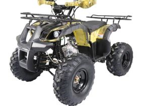 Квадроцикл ATV Termit TT Cross